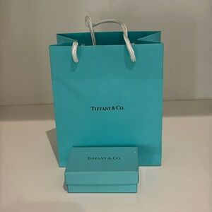 NWT Tiffany & Co. ball key chain
